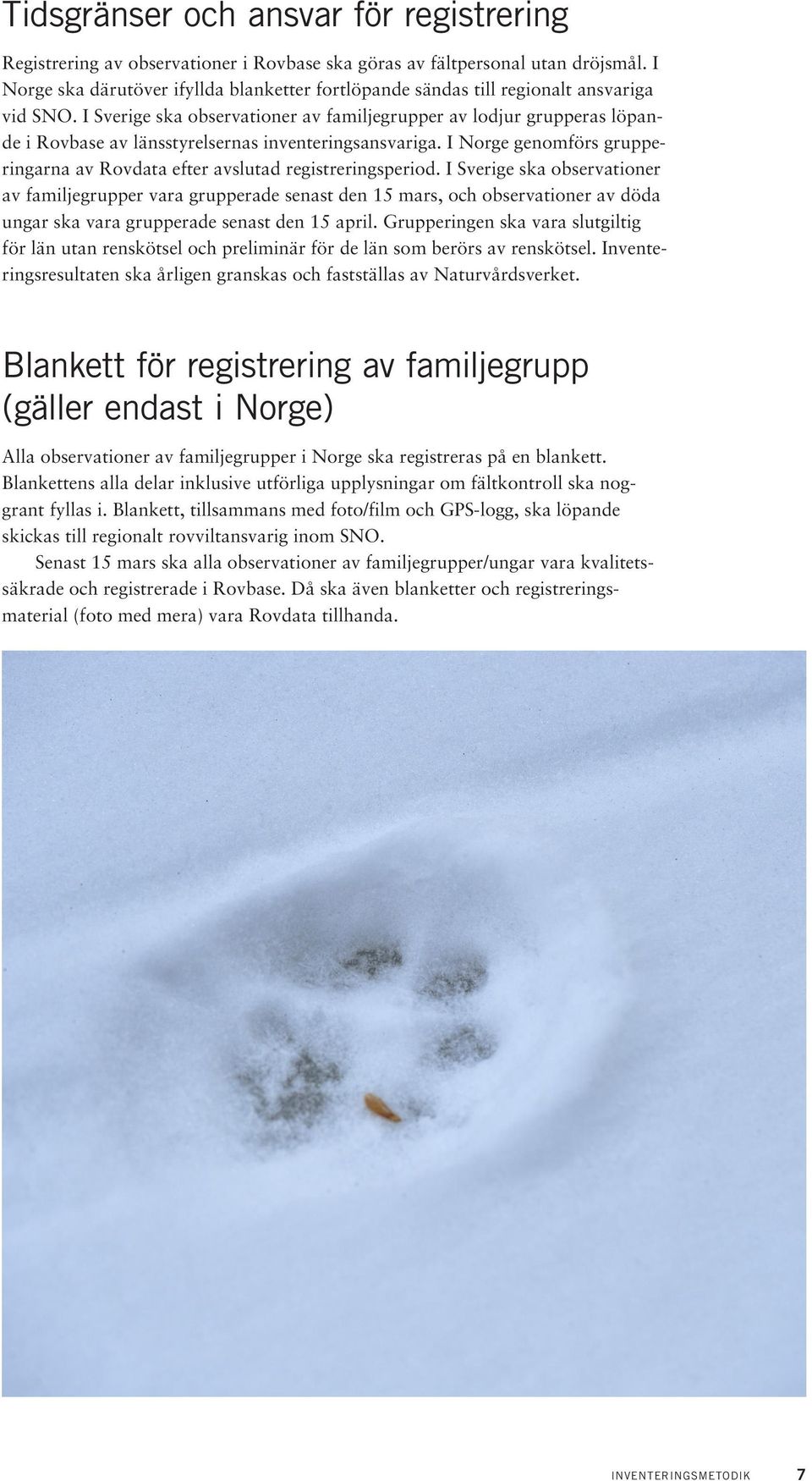 I Sverige ska observationer av familjegrupper av lodjur grupperas löpande i Rovbase av länsstyrelsernas inventeringsansvariga.
