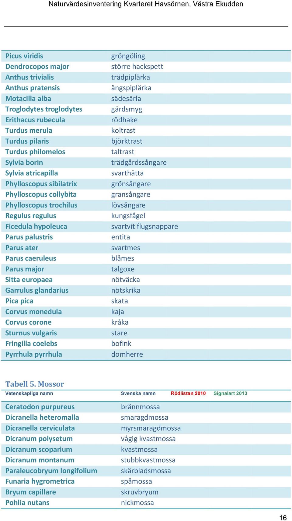 glandarius Pica pica Corvus monedula Corvus corone Sturnus vulgaris Fringilla coelebs Pyrrhula pyrrhula gröngöling större hackspett trädpiplärka ängspiplärka sädesärla gärdsmyg rödhake koltrast