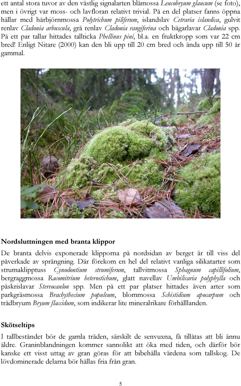 spp. På ett par tallar hittades tallticka Phellinus pini, bl.a. en fruktkropp som var 22 cm bred! Enligt Nitare (2000) kan den bli upp till 20 cm bred och ända upp till 50 år gammal.