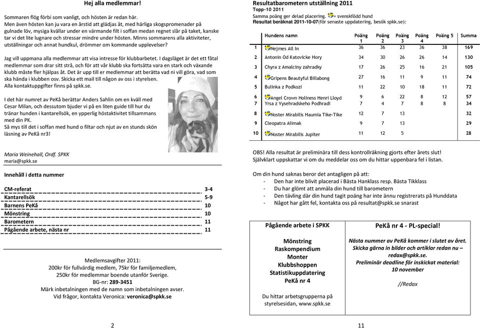 lugnare och stressar mindre under hösten. Minns sommarens alla aktiviteter, utställningar och annat hundkul, drömmer om kommande upplevelser?