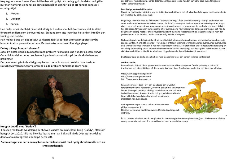 En hund som inte lyder har helt enkelt inte fått den träning som behövs. Han menar också att det absolut vanligaste felet vi gör när vi försöker uppfostra våra hundar är att vi personifierar dem.