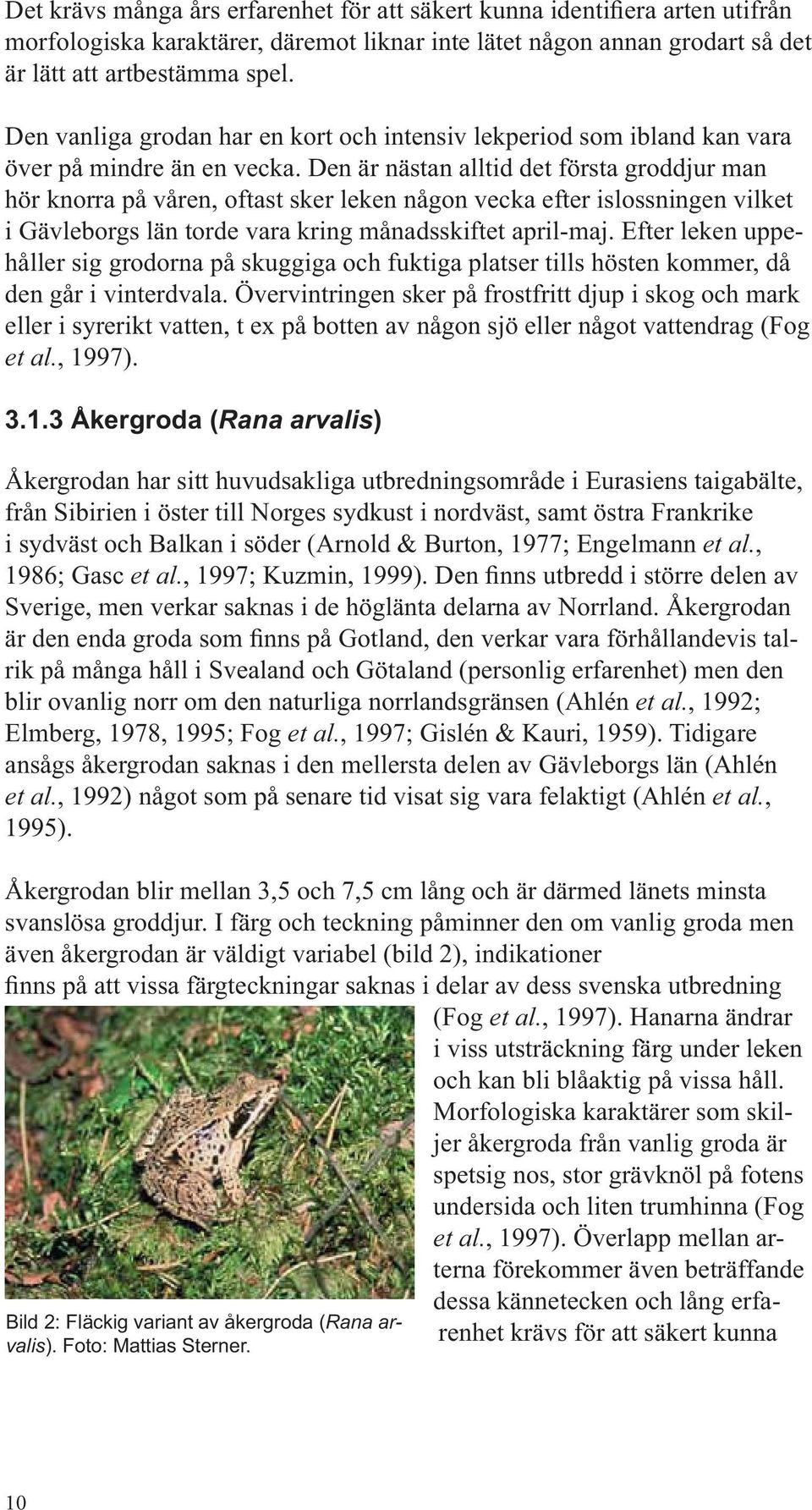 Den är nästan alltid det första groddjur man hör knorra på våren, oftast sker leken någon vecka efter islossningen vilket i Gävleborgs län torde vara kring månadsskiftet april-.