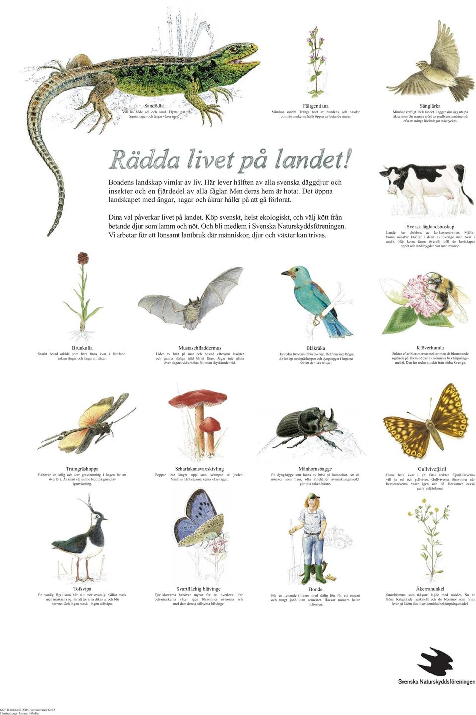 Här lever hälften av alla svenska däggdjur och insekter och en fjärdedel av alla fåglar. Men deras hem är hotat. Det öppna landskapet med ängar, hagar och åkrar håller på att gå förlorat.