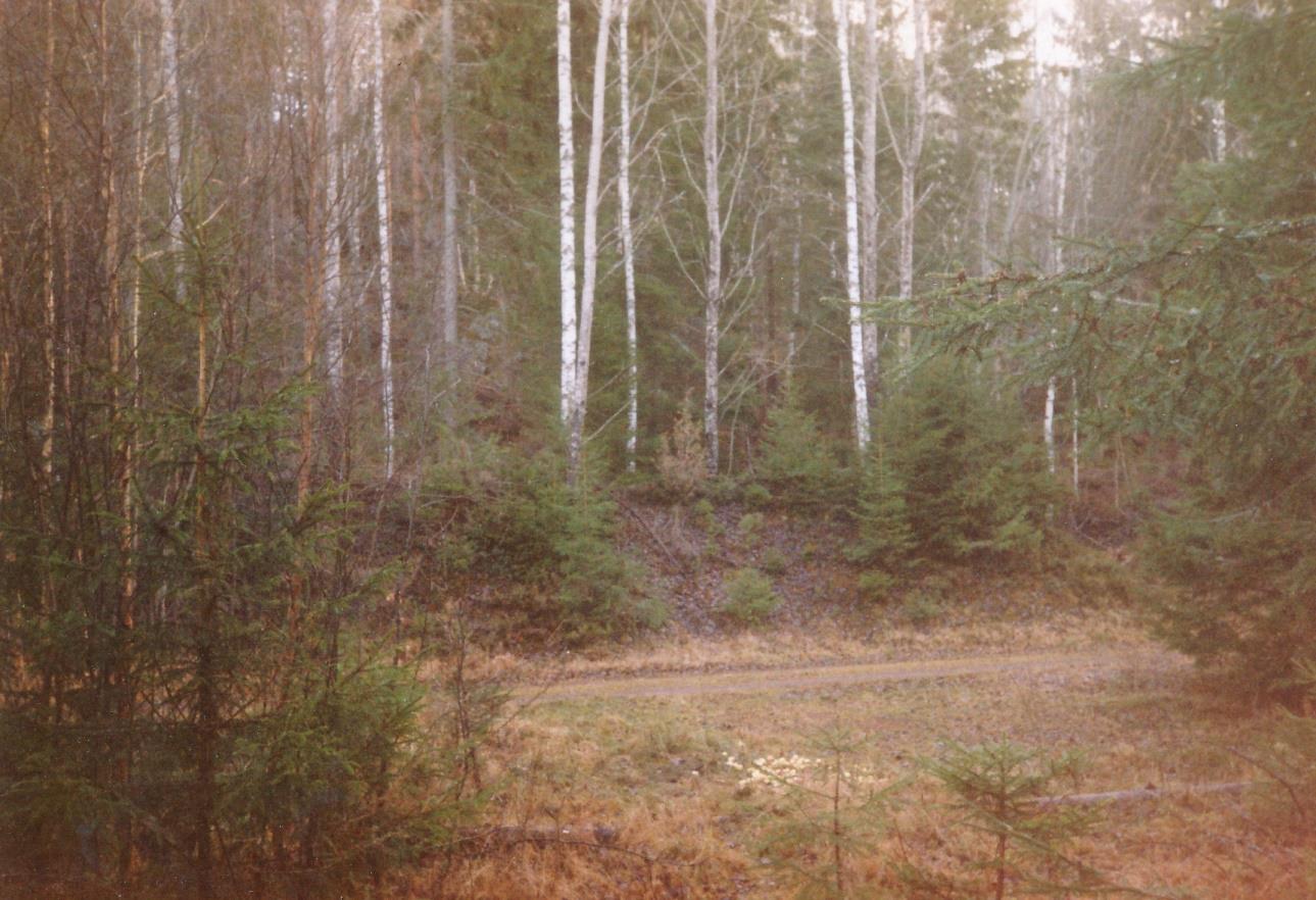 Det här är det enda som finns kvar efter markörgraven. Nu har en stor gran växt över den bakre väggen på graven. Platsen är utmärkt med en 9:a på kartan.