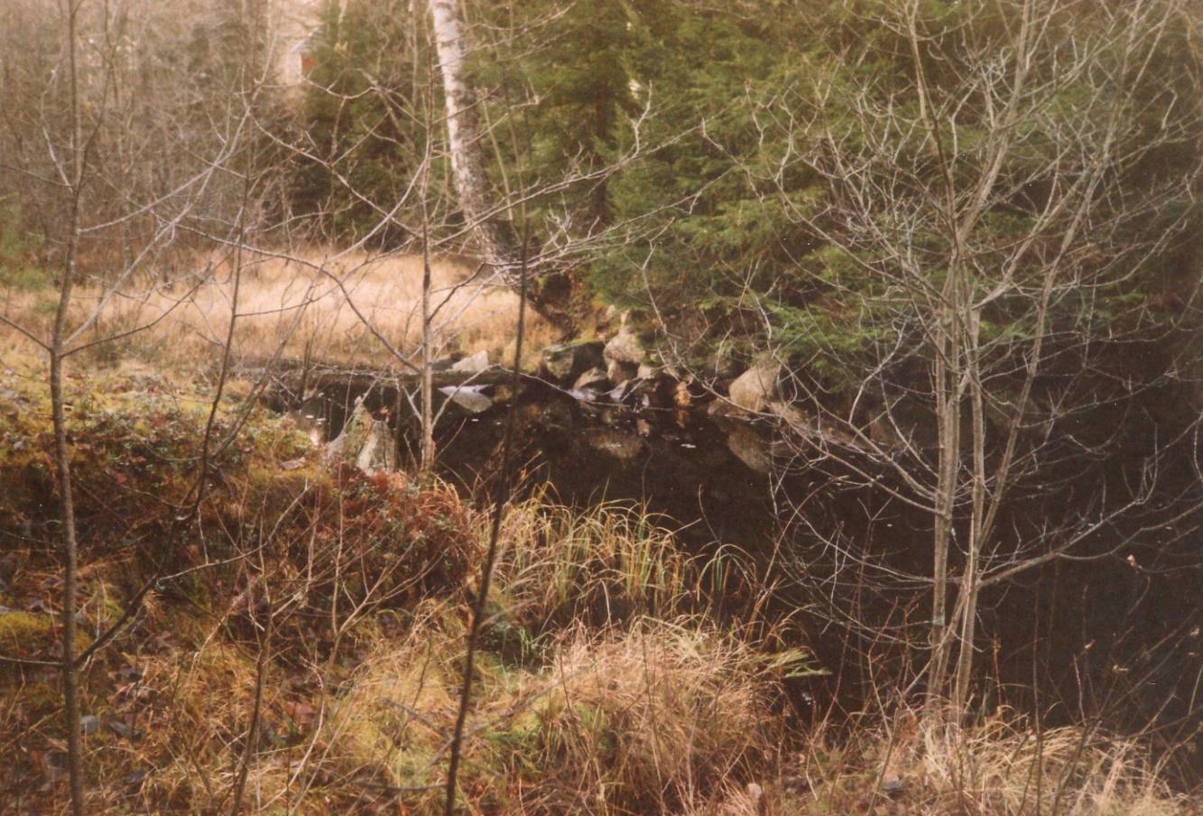 Vy över Åna skola 1964. I nerkanten syns ån som rinner mot Åbydammen. Lite till höger om högra bildkanten gick den gamla vägen ner till gården Åna.