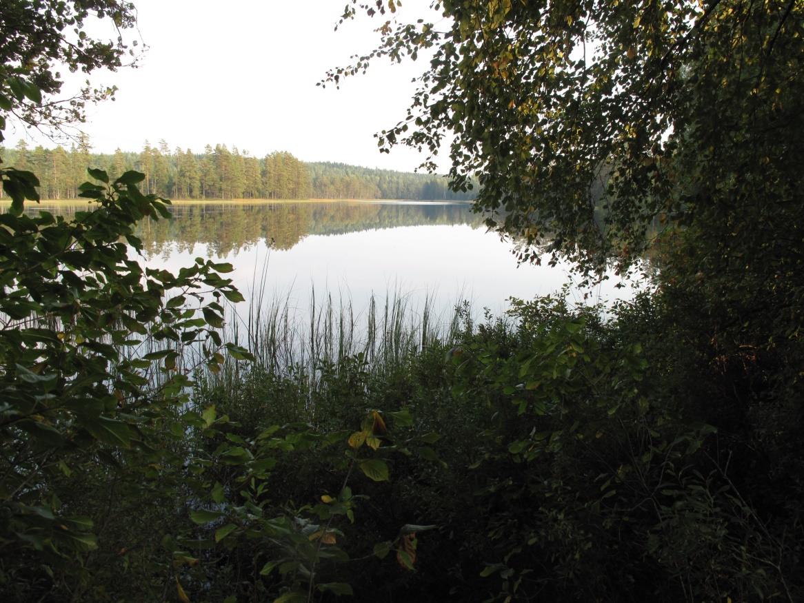 Efter att ha beskådat det nya grustaget gick vi uppför slänten till elljusspåret, som vi sedan följde en bit fram mot sjön.