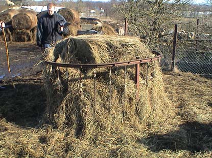 12 Kraftfoder förvarades i silo i anslutning till stallet och utfodrades med spann. För avskiljda tackor fanns höhäckar (figur 14) och kraftfoderkrubbor. Figur 14.