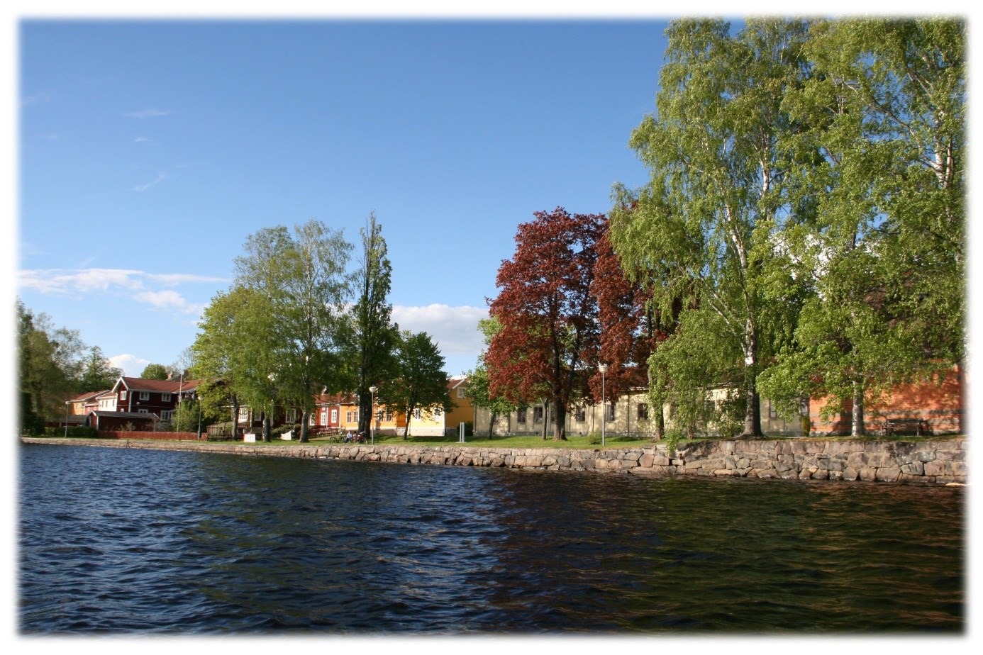 4 Mål och budget