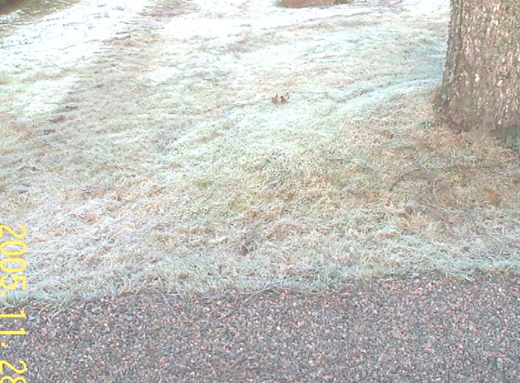 Bilaga 5 4/0425 Trädgård Brunnen är en septiktank där tank ligger åt vänster