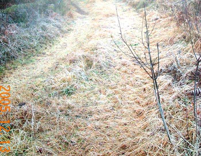 Bilaga 5 5/1295 fornminne minnessten Se