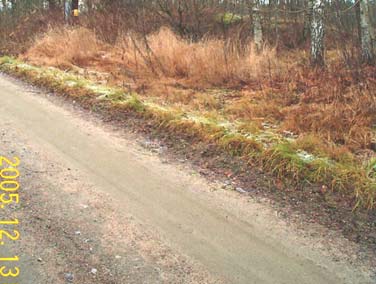 Bilaga 5 Lågspänning 0,4kV Station Repelsbo Transformatorstationen är en seriesatellitstation med transformator 100kV. Stationen placeras enligt bygglovsritning.