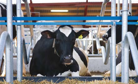 Erbjudanden i april 15% rabatt! Flottör på köpet! Ge dina djur ett hygieniskt foderbord Foderbordsskydd FTC DeLaval foderbordsskydd är en plastskiva som monteras på såväl nya som gamla foderbord.