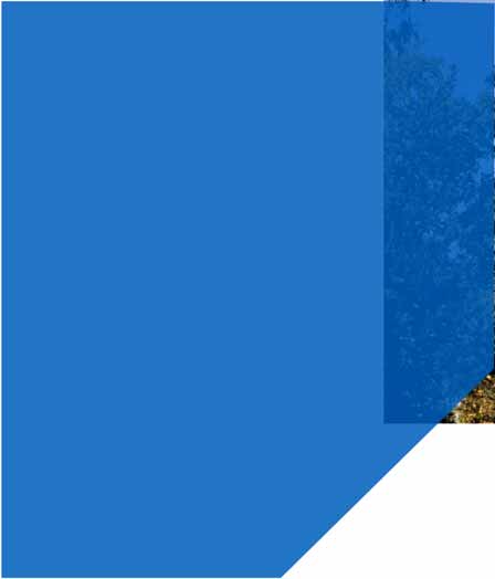 Svenska marknaden för insamling och behandling av
