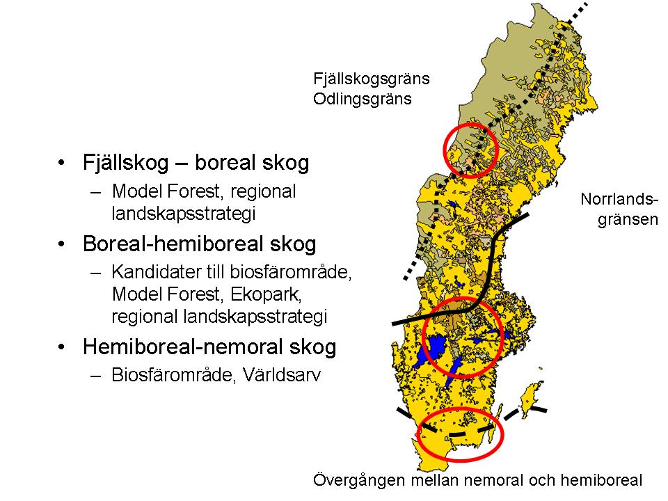 Figur xviii. Karta över Sverige med olika markägarkategorier (mest familjeskogsbruk i syd, mest statligt i nord, och blandat med skogsbolag i mitten), och tre viktiga naturgeografiska övergångszoner.