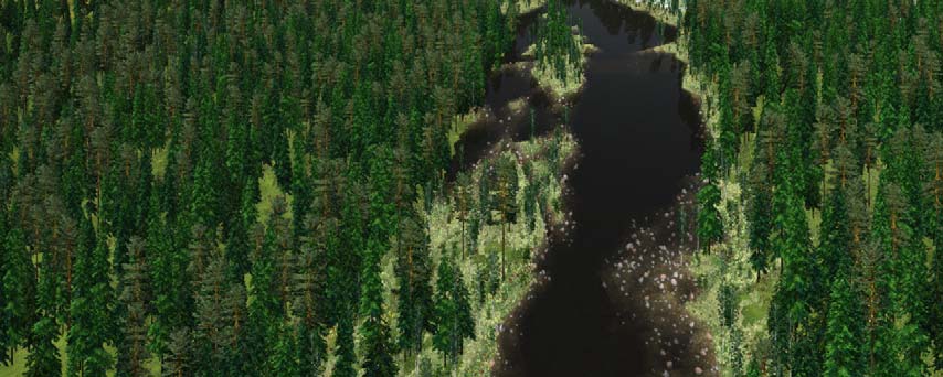 Visualisering av skog och skogslandskap - erfarenheter från användning av Visual Nature Studio 2 och OnyxTree.