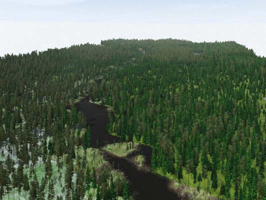 Bild 8, moln, skuggor och dis är utritat. Övriga objekt VNS har full funktionalitet för att använda 3D-objekt skapade i ett 3D-modeleringsprogram t.ex. Maya eller 3D Studio Max.