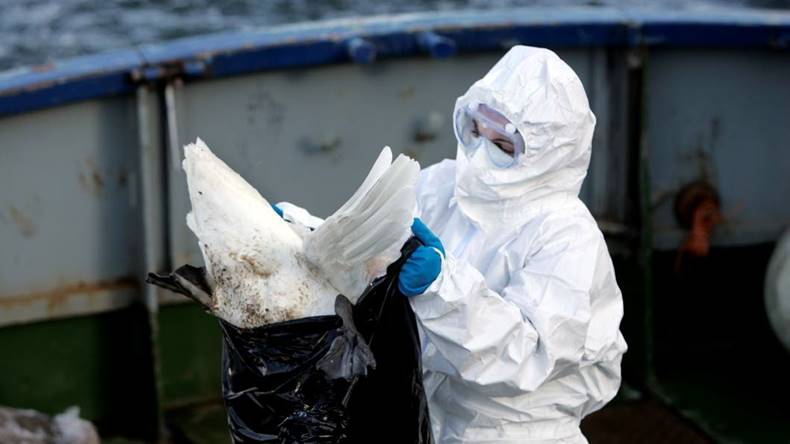 Kroppsspråks-paradoxen När det myndigheten säger inte upplevs samstämma med det man synes göra Gå och vaccinera er mot influensan! NU! SNABBT!