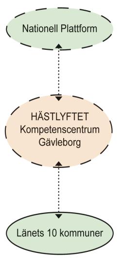 Under dessa år har hästsektorn och det offentliga uttryckt behovet av kompetensförsörjning, en regional samordning och en tydlig part att vända sig till i hästrelaterade frågor.