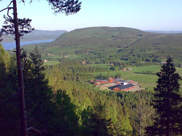 Tillsammans med Högskolan och Sandvikens kommun tagit fram underlag för examensarbeten kring Hästens betydelse i samhället/ Hästens i samhällsplaneringen.