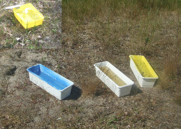 FaZett 2011 11 Fig. 1. Sk. Falsterbo. Uppsättning med tre olikfärgade färgskålar och en extragul (infälld). Foto: M. Franzén.