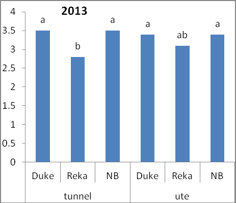 Figur 5. Ackumulerad avkastning, kg per buske, i blåbär 2012 och 2013. Heldragen linje avser tunnel och streckad linje aver odling ute. Bärkvalitet Bärstorlek.