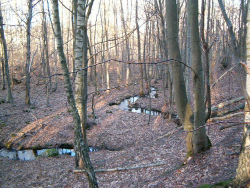 Delområde 2 Area: 0,8 ha Naturvärde: Värdekärna 2a Area: 0,6 ha Naturvärde: Värdekärna A-B Lövskogstyp: Bokskog av lågörttyp (SL: 5, ViN: 2.2.2.2) Natura 2000 naturtyp: Bokskog av örtrik typ (9130) Omkring 100-årig bokskog med inslag av björk, ask, fågelbär och hassel på sluttande mark ner mot bäckfåran.