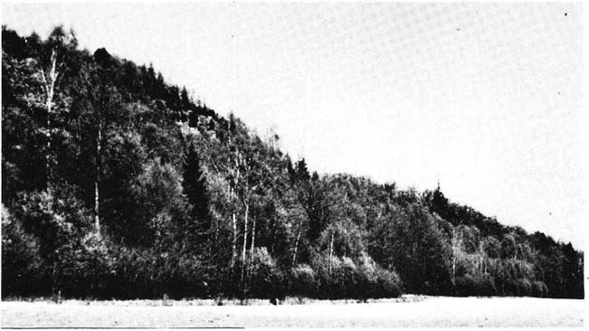 40 Gö"ran Wallin Profil A (fig. 11-12, tab. l) är lagd i den västra delen av sluttningen, där bergbranten börjar bli otydlig och övergår i en svacka, som leder upp mot platån.