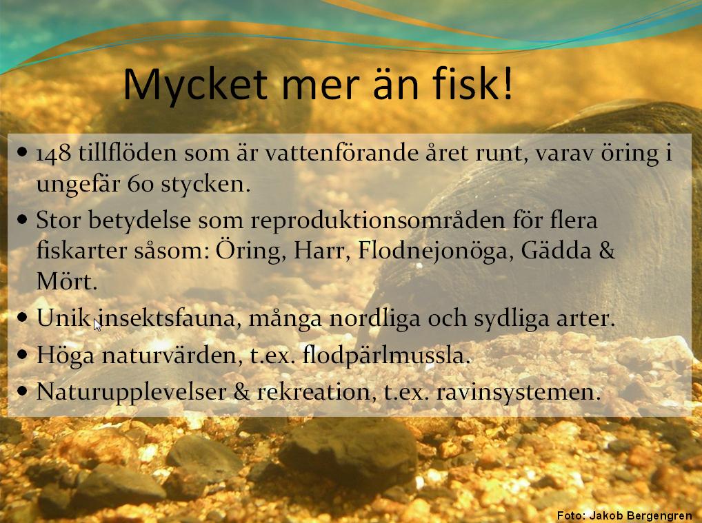 Vätterns