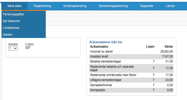 Du kommer nu till första sidan som består av flera flikar, bla mina sidor, rapportering, bemanningsplanering.