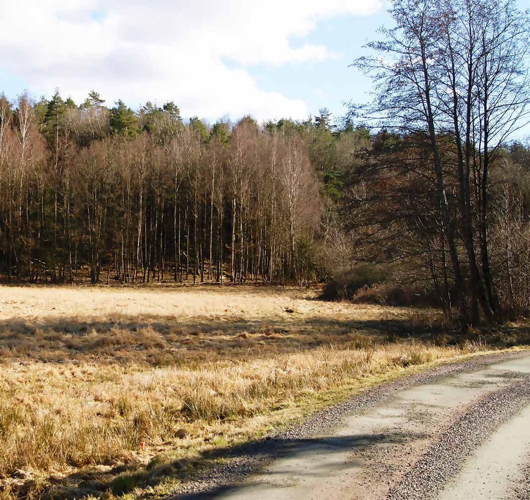 HAVSNÄRA TOMT Härlig tomt i lantligt bra läge med närhet till hav och skog.