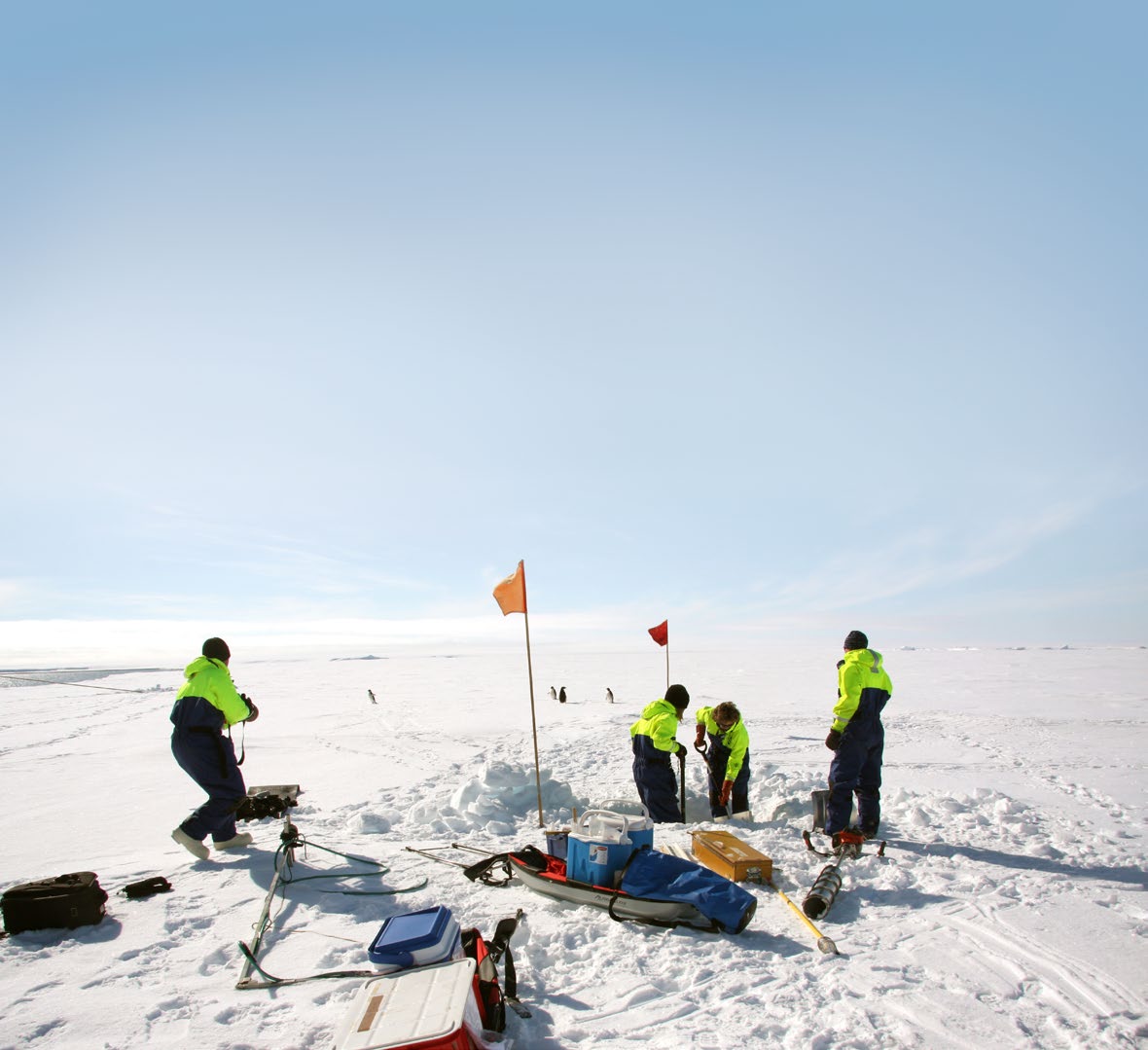 Polarforskningssekretariatet Polarforskningssekretariatet är en statlig myndighet med uppgift att samordna och främja svensk polarforskning.
