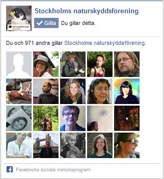 Nyhetsbrevet Karolina Larsson är redaktör för nyhetsbrevet. Nyhetsbrevet skickas numera till de som uppgivit sin e-post i medlemsregistret. För tillfället uppgår medlemsantalet till 6257 st.