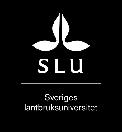 Rolf Spörndly, Inst för husdjurens utfodring och vård Korta eller långa strån i ensilaget? Vi gjorde alltså ensilage i rundbalar eller i slangpackare.