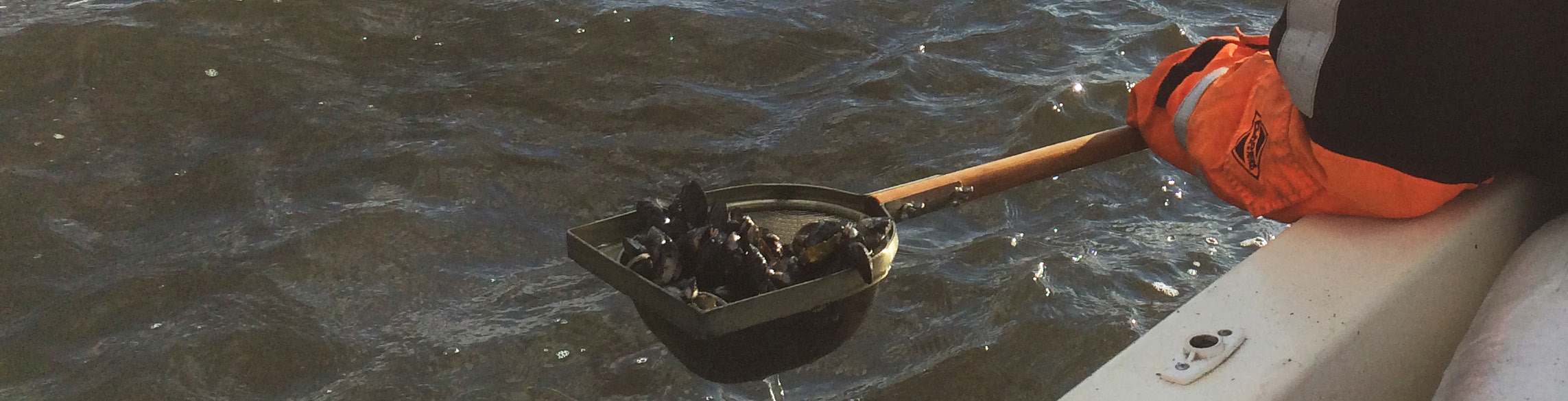 Sammanfattning Marine Monitoring AB fick i uppdrag av Länsstyrelsen i Västra Götalands län att under hösten 2014 undersöka förekomst samt effekter av ett antal kända miljögifter längs Bohuskusten.