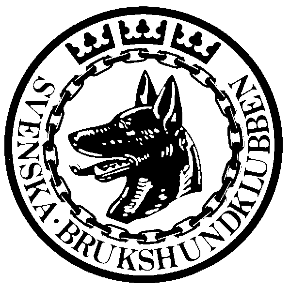 Utförandeanvisningar