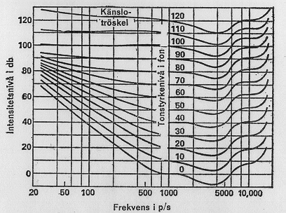 Örats känslighet Psykoakustik, talperception, språkstruktur och neurolingvistik David House Uppfattar från ca 20 till 20 000 Hz Känsligast för frekvenser 1000-6000 Hz Icke-linjär uppfattning av