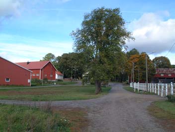 REFERENSER GRÖNPLAN FÖR TÄBY KOMMUN Referenser Grundutredningar för Täbys grönplan. 2002-2004. - Del 1 Rekreativa värden - Del 2 Kulturhistoriska värden - Del 3 Biologisk mångfald Täbys miljömål.