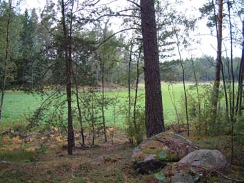 Bilaga 3 Kulturhistoriska värden - exempel kommundel Rönninge by Bortom den öppna marken, både åker och hagar, skymtar husen vid Radarvägen Historisk beskrivning I Rönninge finns spår av mänsklig