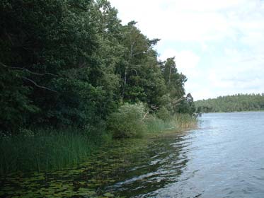 Bilaga 3 Biologisk mångfald - exempel kommundel Rönninge by Hägerneholm Hägernäs Kring Hägerneholm finns en ekmiljö med mycket hassel (85). Här finns några jätteekar och ganska många medelstora ekar.
