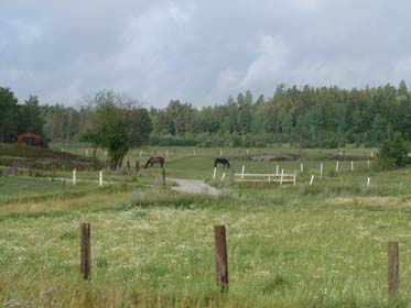 Bilaga 3 Vid Hägerneholm finns en ek/hasselmiljö (85) och ett öppet, småskaligt jordbrukslandskap (86).