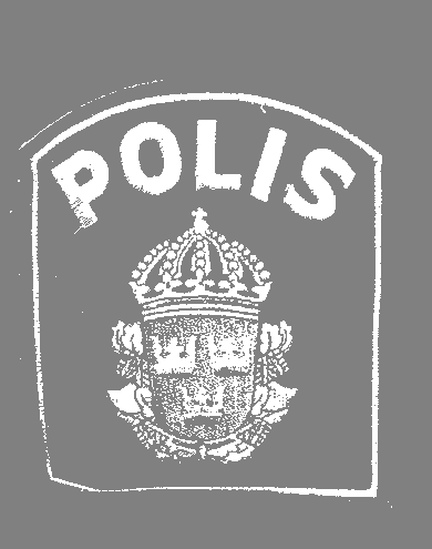 Polisutbildningen vid Umeå universitet Moment 4:3, Fördjupningsarbete Vårterminen, 2008 Rapport