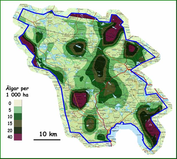 Ur karta Lantmäteriverket Gävle 2006. Medgivande I 2006/160 Figur 1. Älgarnas geografiska fördelning inom Holmen Delsbo ÄSO vid inventeringen i februari 2007.