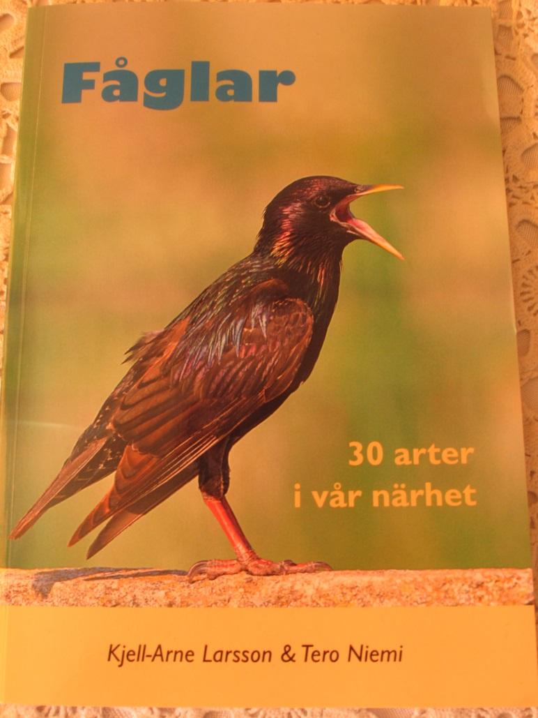Fåglar 30 arter i vår närhet Från förlaget har vi fått denna trevliga bok för anmälan och recension. Ok någon kan väl tycka att trettio arter vad skall man med en sådan bok till.