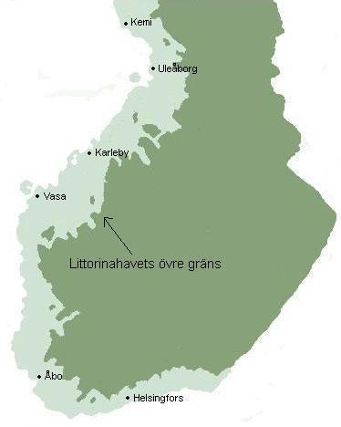 Sulfatjordarnas ursprung Finkorniga sediment som bildades när Finlands kuster låg under vatten (Litorinaleror, 7500-4000 år sedan) För att bryta ner organiskt material i syrefria sediment använder