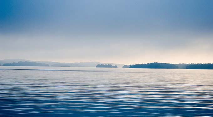 Boston Consulting Company WWF Återställd havsmiljö i Östersjön kan