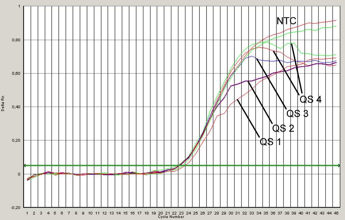 Fig. 23: Detektion av Kvantifieringsstandarderna (C. trachomatis TM QS 1-4) genom detektion av en FAM-fluorescenssignal (ABI PRISM 7000 SDS). NTC: non-template control (negativ kontroll). Fig.