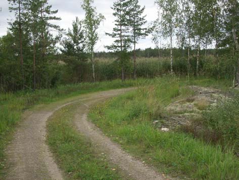 Bilaga 1-2 Handbok, Flygaska i mark- och vägbyggnad, Grusvägar Skogsbilväg, Hallstavik Flygaska blandat med grus (krossat berg) Bär- och förstärkningslager 1 UNDERHÅLL AV SKOGSBILVÄG Det finns stora