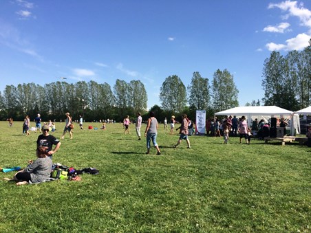 Sid 36 (88) Förväntat resultat Grönstrukturen i staden förstärks. Föroreningarna från trafikdagvatten minskar.