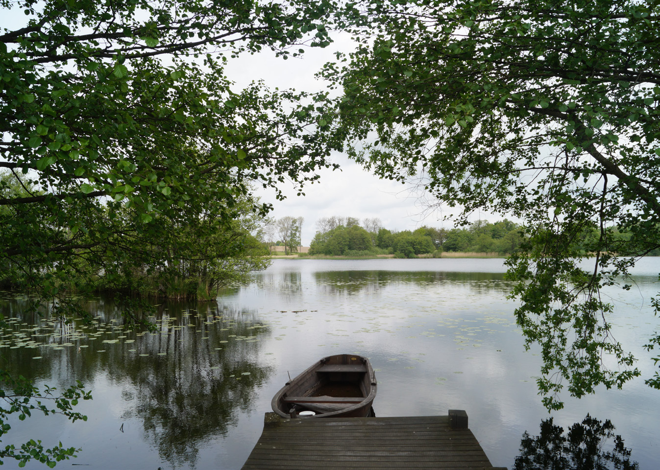Skurupsgruppen orienterar Tipsrundan i Svaneholm. I ett underbart väder med sol och i en vacker natur kunde tipsrundan genomföras.