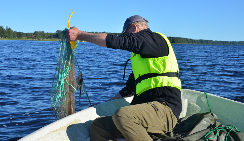 Flik 12 Uppdragsgivarens ansvar I fråga om fisketillsyn är det inte enbart fisketillsynsmannen som har rättigheter och skyldigheter, utan det ställs även krav på den som är uppdragsgivare till